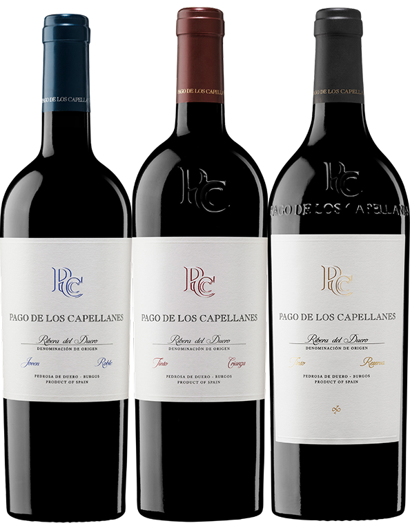 COLECCION CAPELLANES FONDO TRANSPARENTE